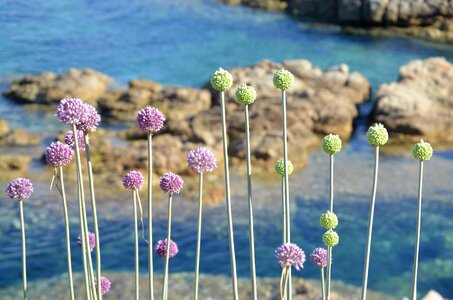 Nature holiday sardinia