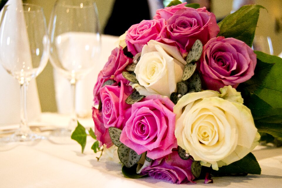 Pink romance romantic