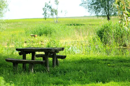 Rest spring green