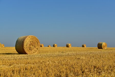 Straw harvest rural photo