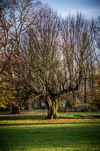 Old strain park
