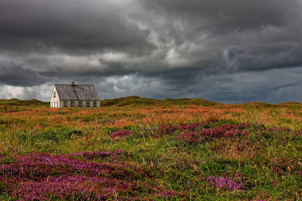 Dunes landscape beach