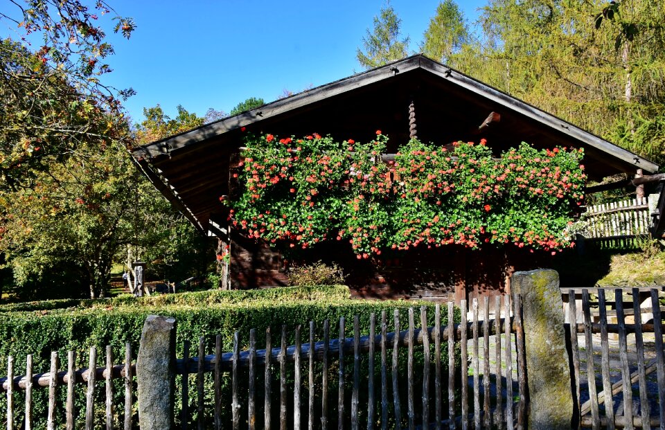 Rural live building