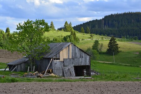 Green meadow fence