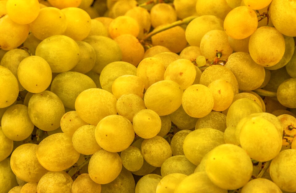 Grapes healthy food