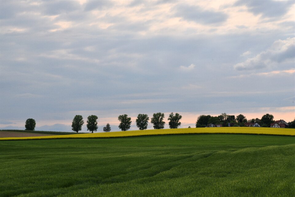 Cultivation ground nature