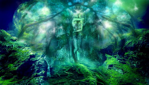 Tree people passion