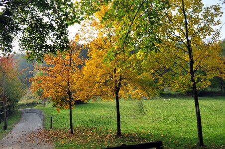 Nature landscape path