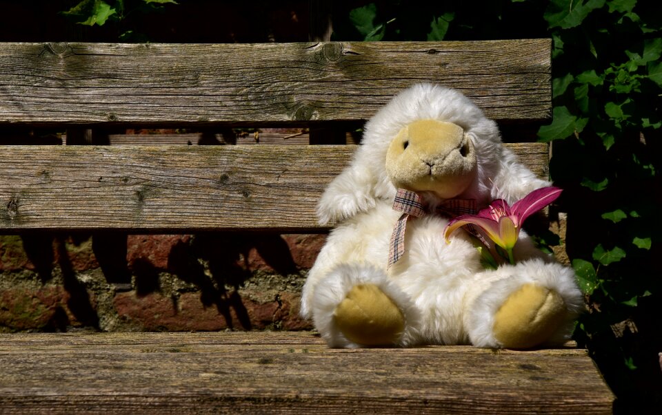 Teddy bear soft toy flower