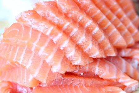 Food fish sushi