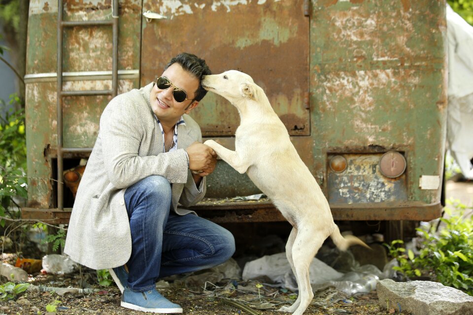 Street dogs modeling male