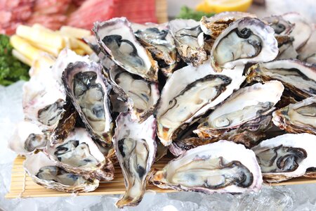 Nutrition protein health