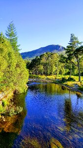 Reflections mountains trees photo