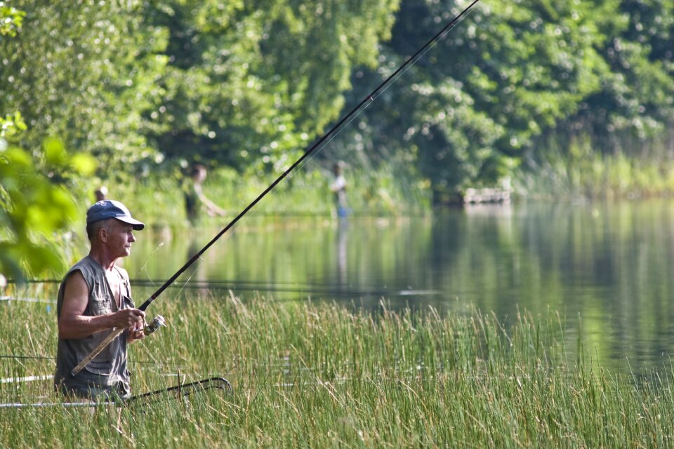 Hunting natural green fish