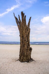 Sand nature island