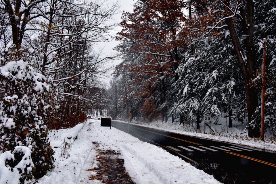 Winter landscape snow day snow landscape
