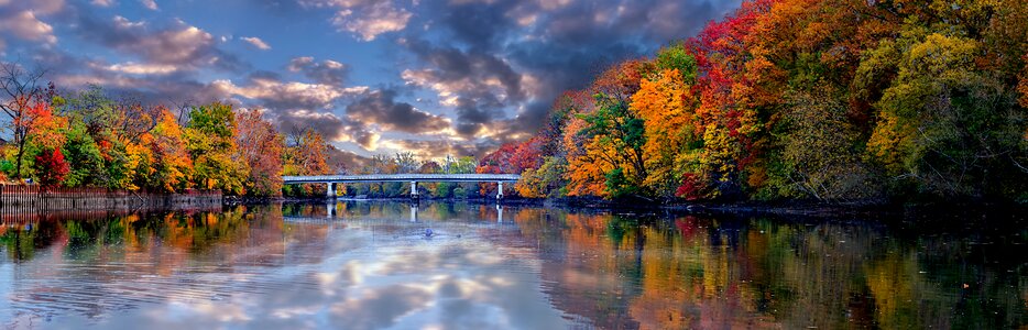 Water wallpaper foliage