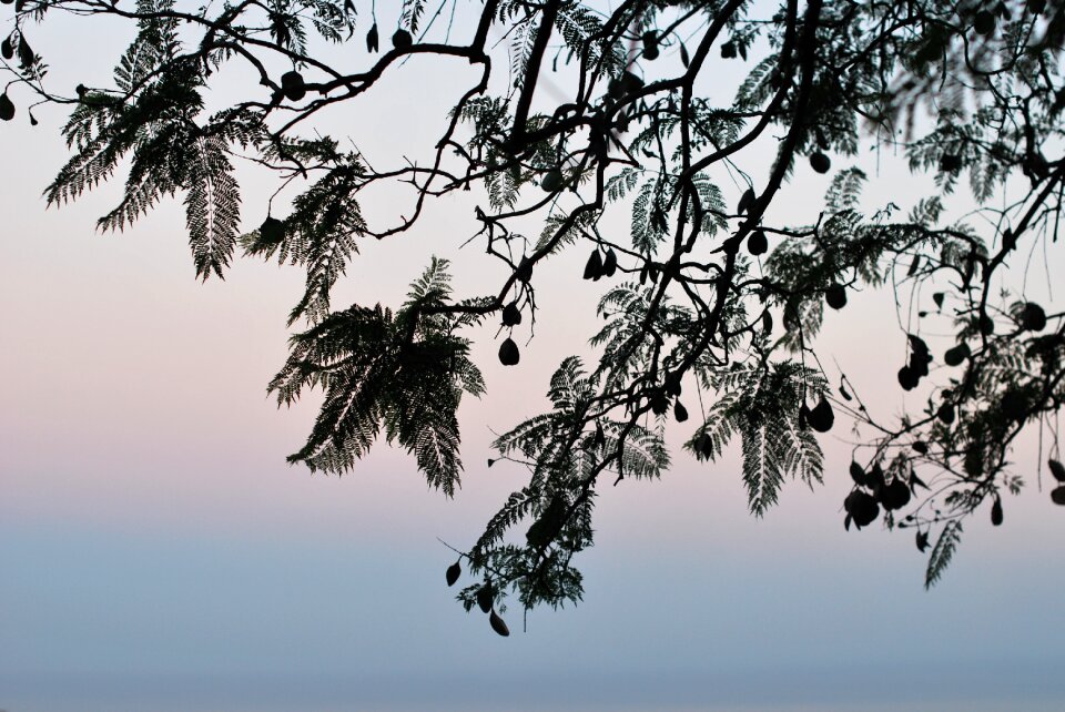 Landscape sky gray sunset