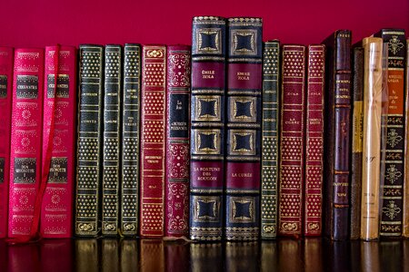 Wisdom book reading