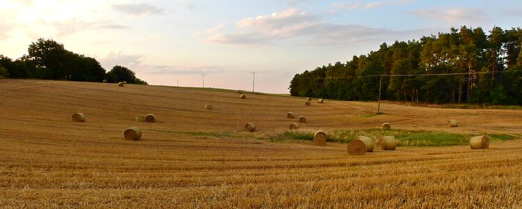 Straw bales stubble landscape photo