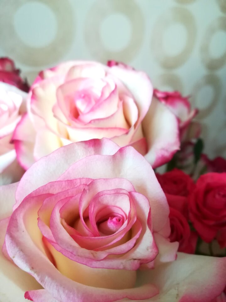 Flower lovely love