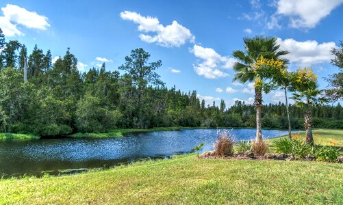 Summer nature usa