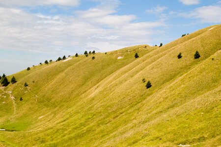 Summer grass hill