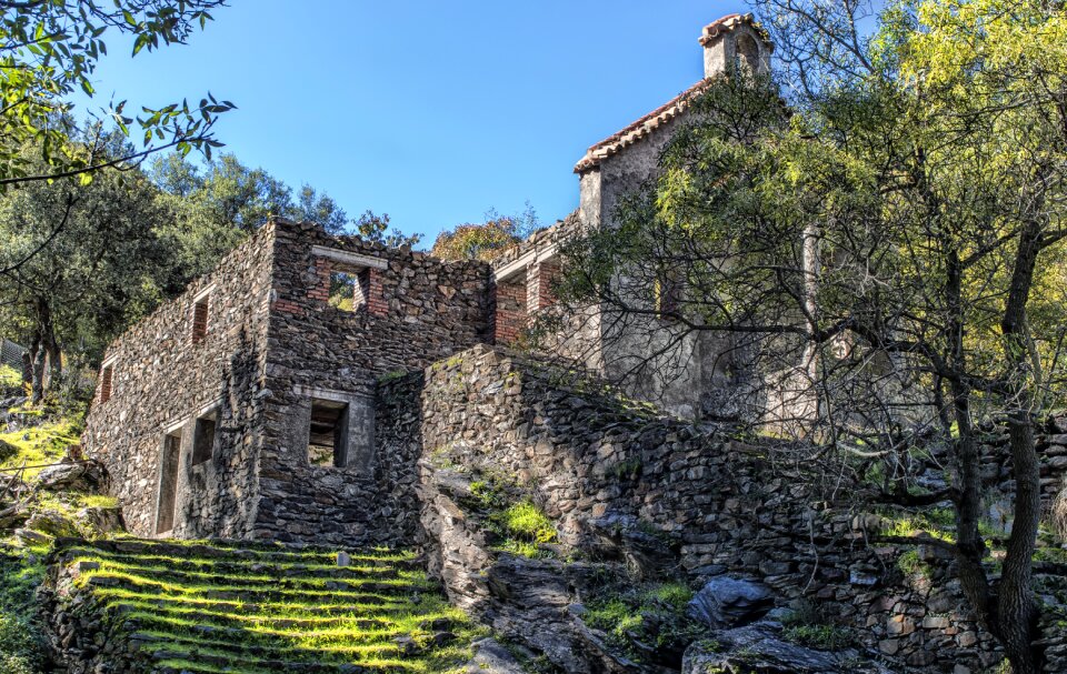 Forest lugros granada