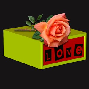 Flower box romantic