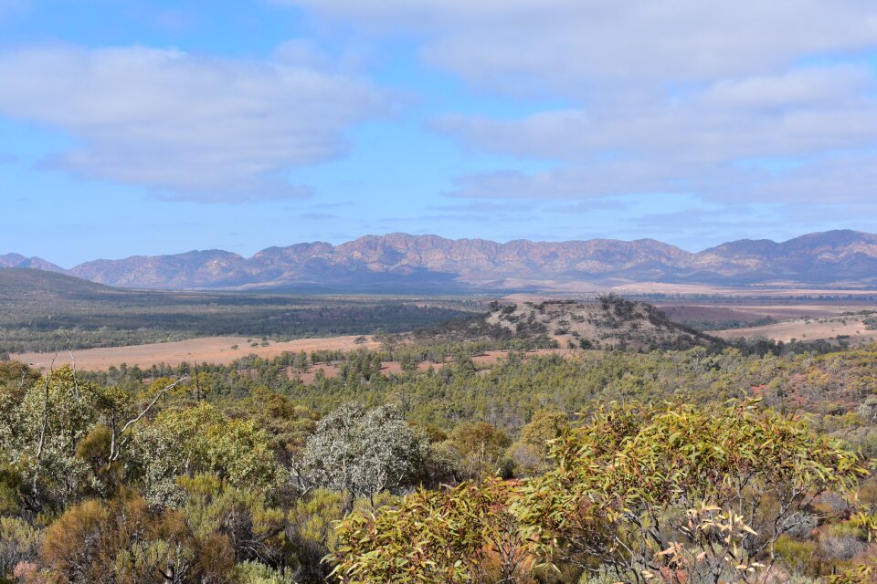 Panorama landscape nature