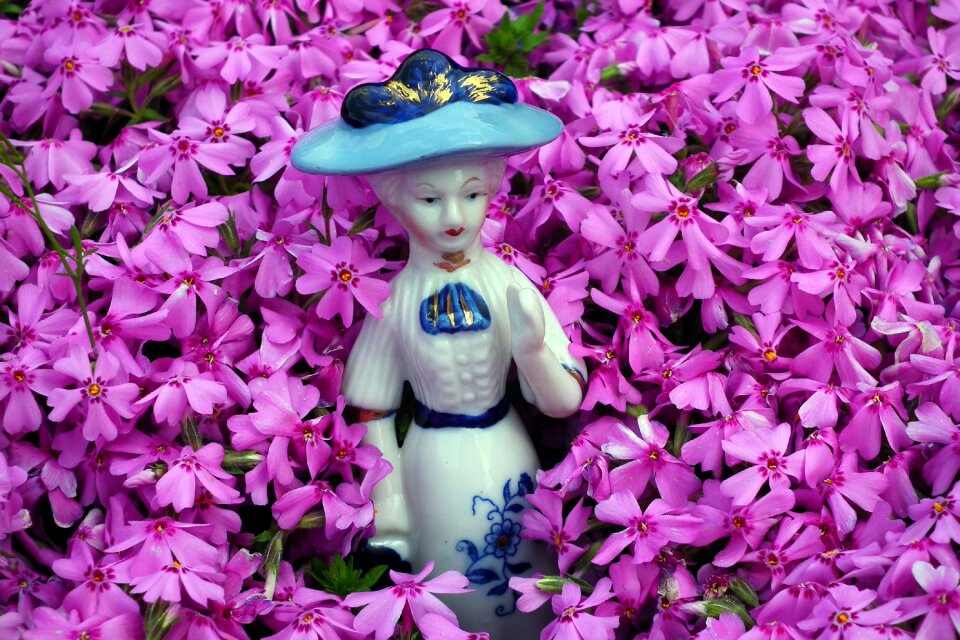 Plant spring floral