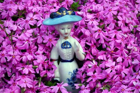 Plant spring floral