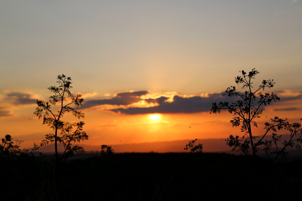 Solar nature landscape