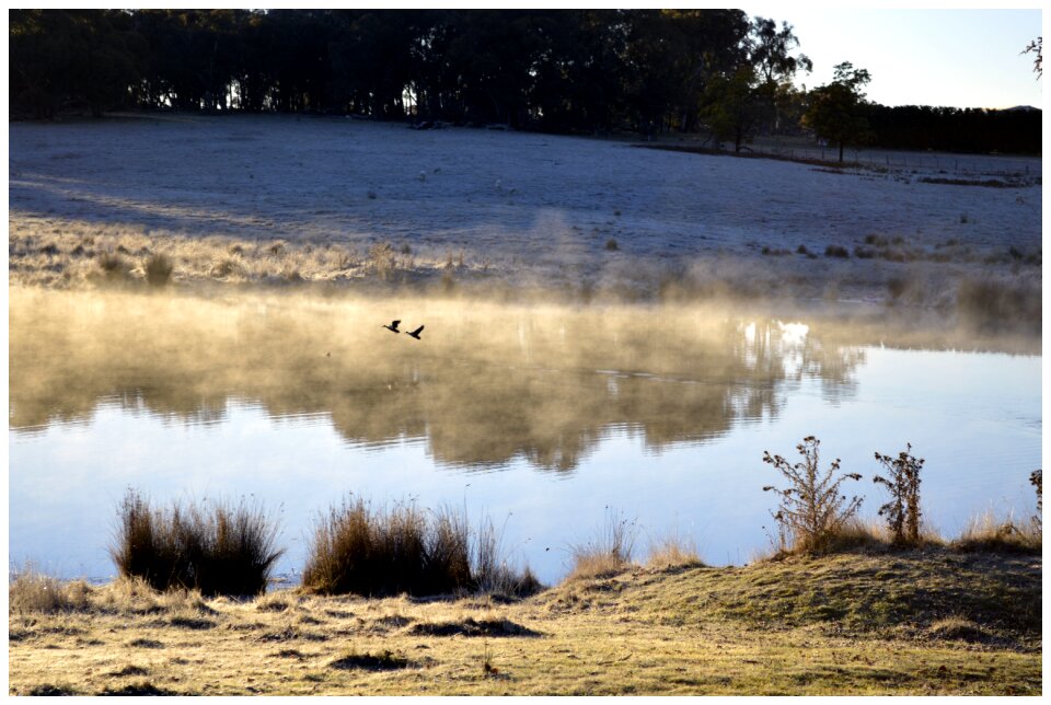 Pond farm water