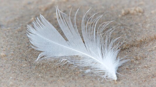 Lightweight fluffy filigree