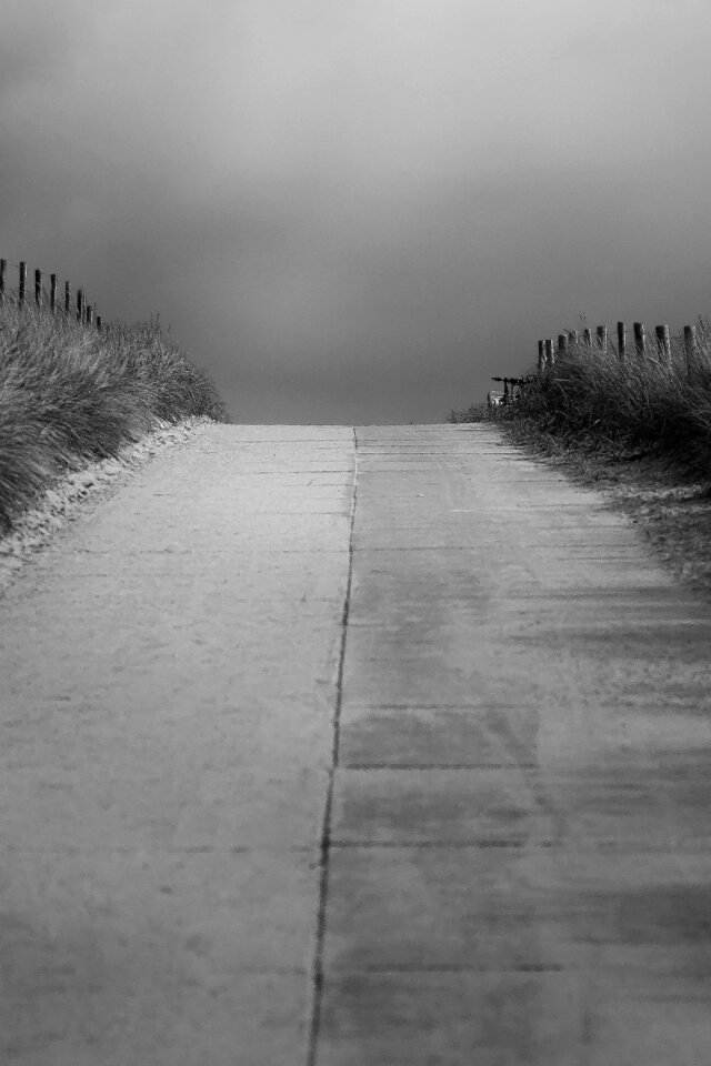 B w landscape nature