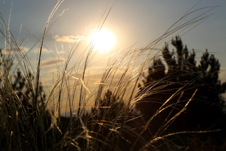 Solar nature landscape