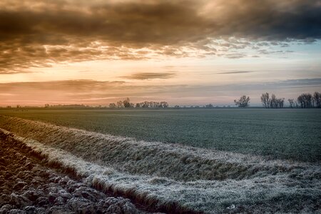 Cold frosty hdr photo photo