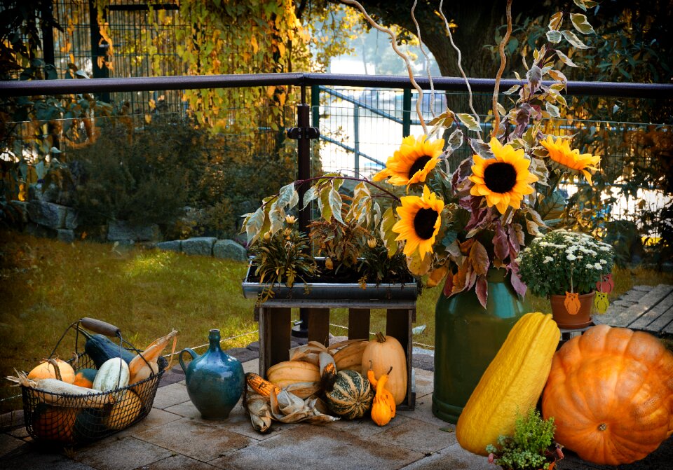 Decoration harvest food
