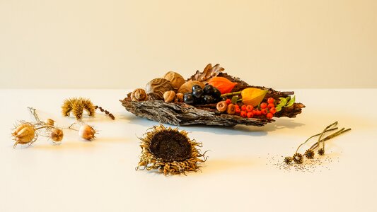 Harvest dry flora