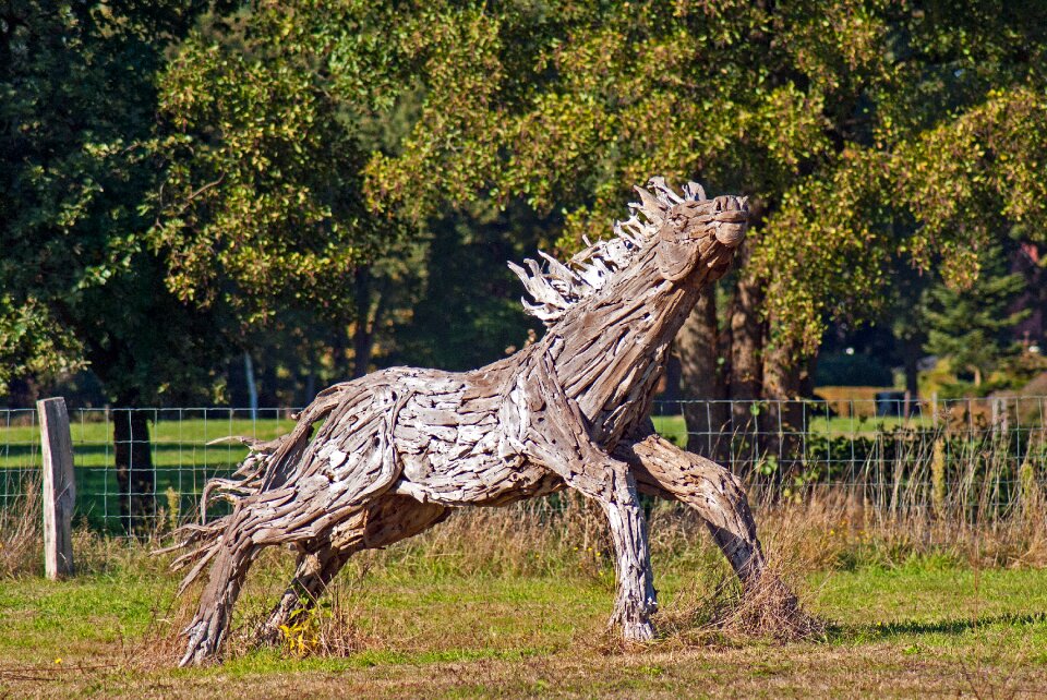 Wood nature structure