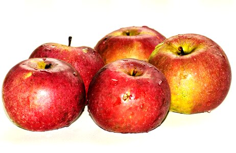 Close-up diet food
