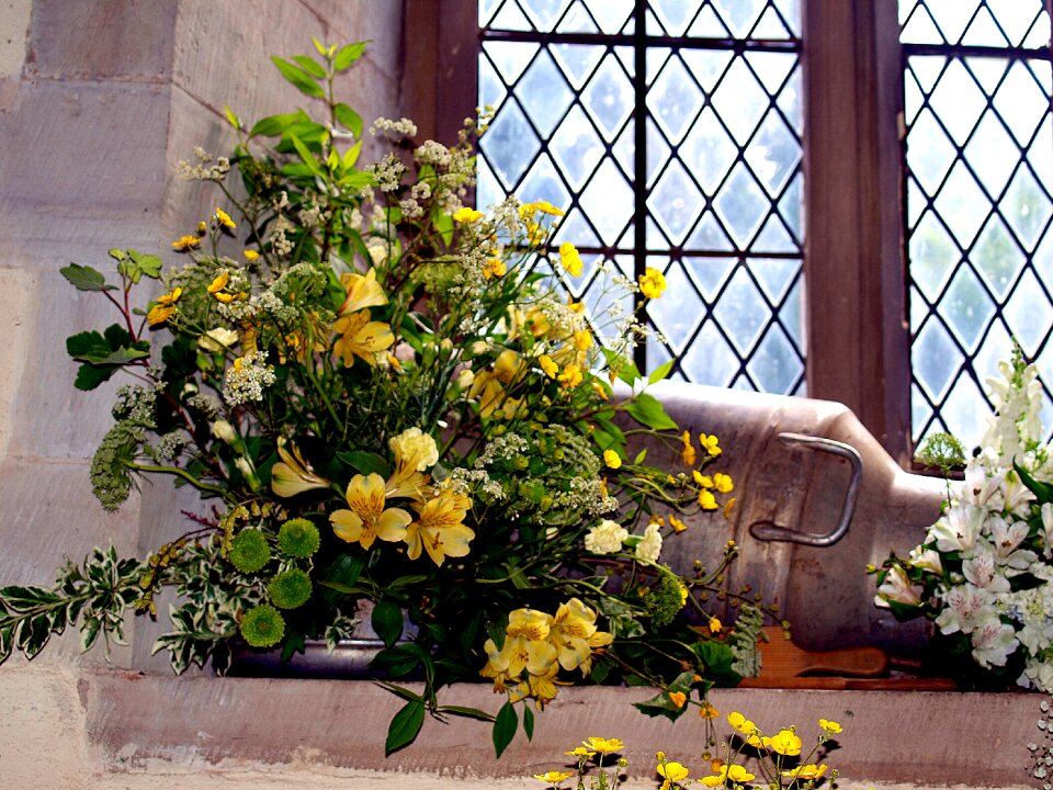 Display still life window