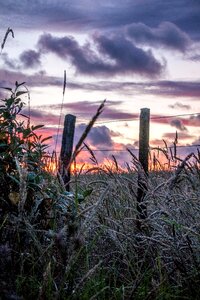 Nature morgenrot landscape