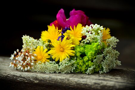 Colorful flowers give floral greeting