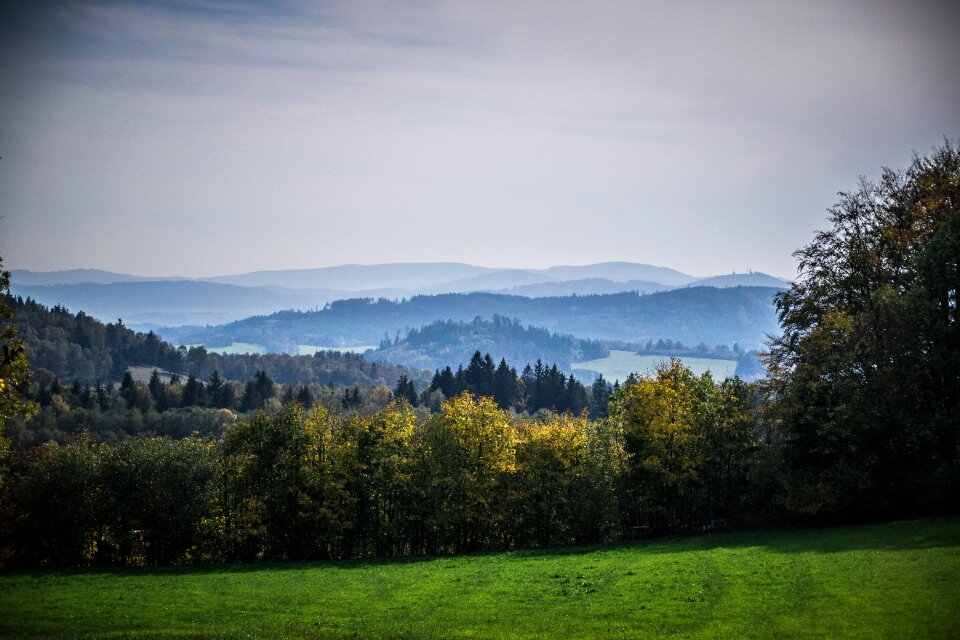 Nature trees haze