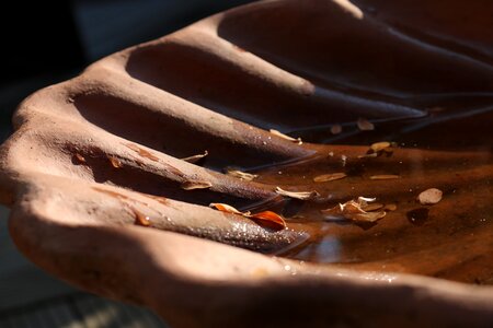 Gartendeko drip tray autumn