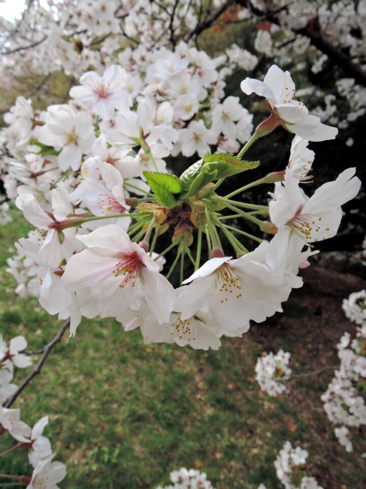 Nature quarter beautiful