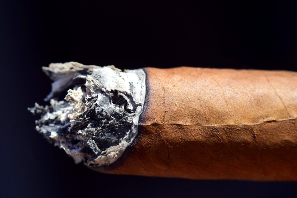 Enjoy tobacco tobacco leaves