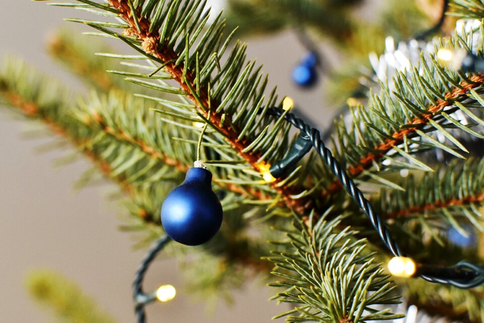 Christmas decor blue toys